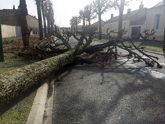 2017-03-06 tempete 01