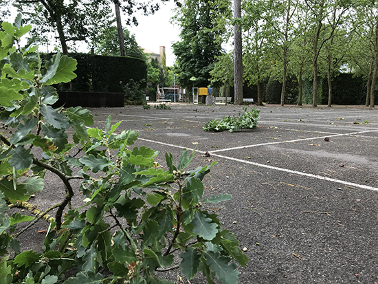 2019-06-07 tempête 01