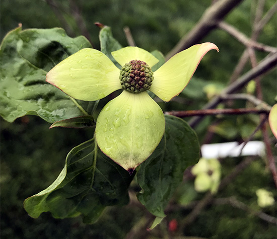26-04-2019 aménagement Pétré 06