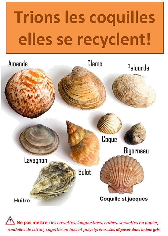 affiche A3 coquilles plus interdiction 550