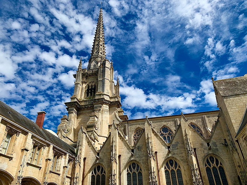 Cathédrale de Luçon - 2022