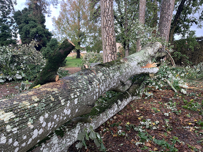 Illustration - Tempête Goraffi