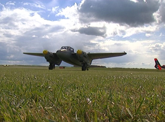 mosquito image