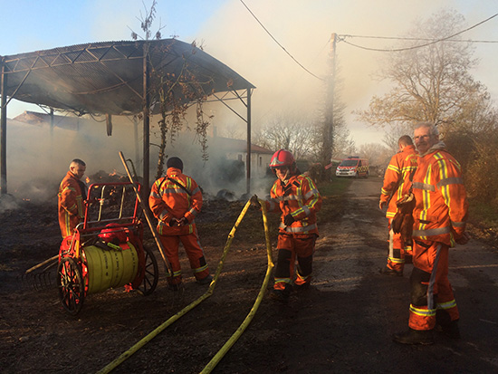 incendie bosquet 03