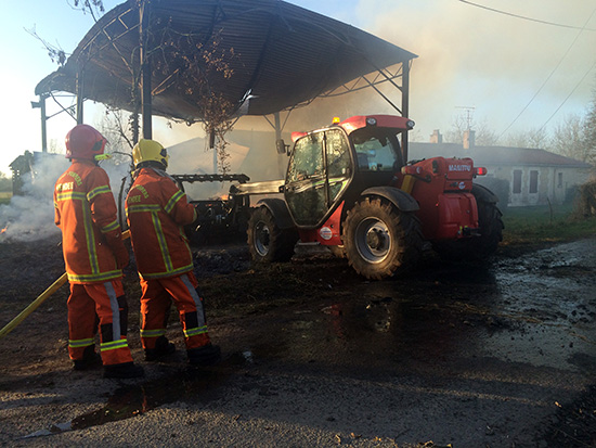 incendie bosquet 05