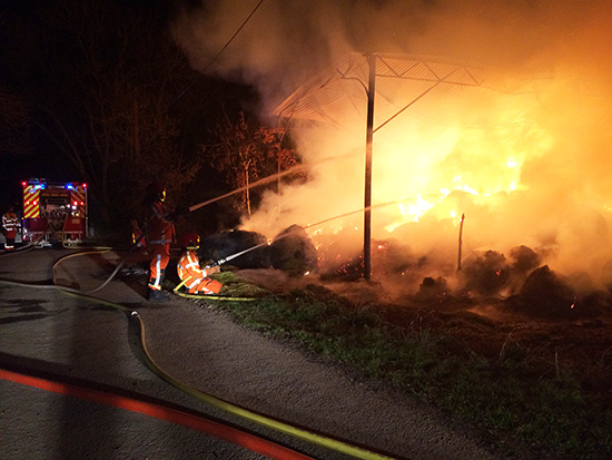 incendie bosquet nuit 01