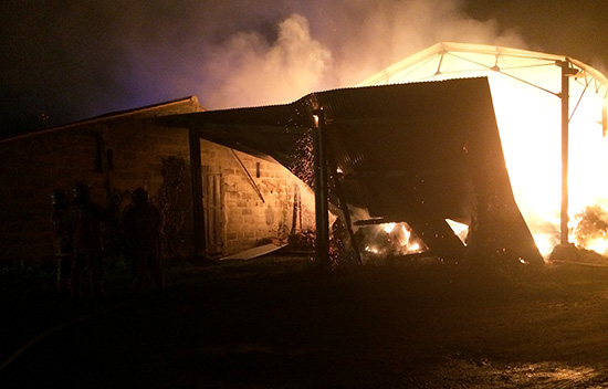 incendie bosquet nuit 02