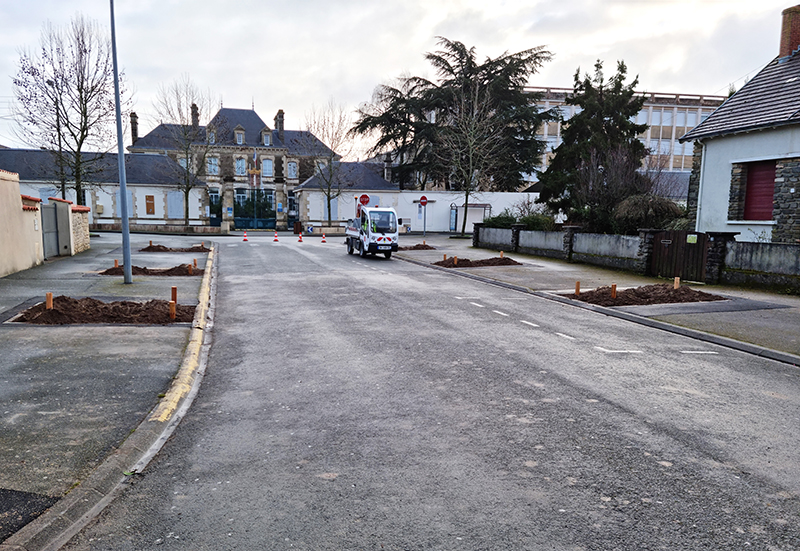 Plantation arbres lycée Atlantique 1