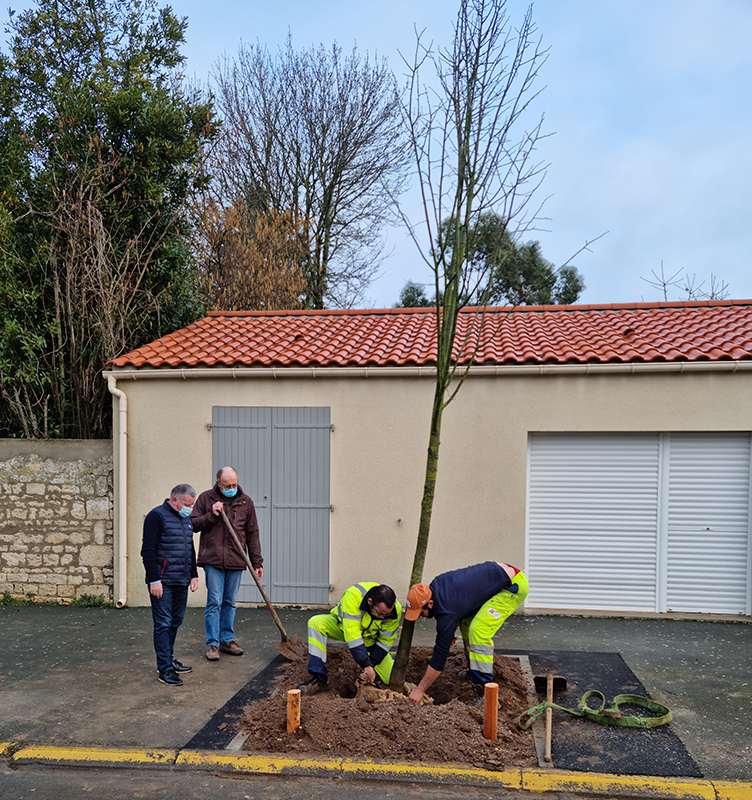 Plantation arbres lycée Atlantique 2