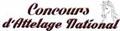 Concours d'attelage
