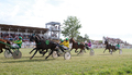 Courses hippiques Luçon 2025