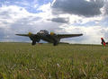mosquito image