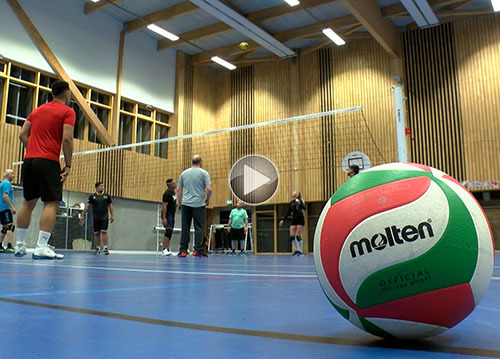 volley vignette